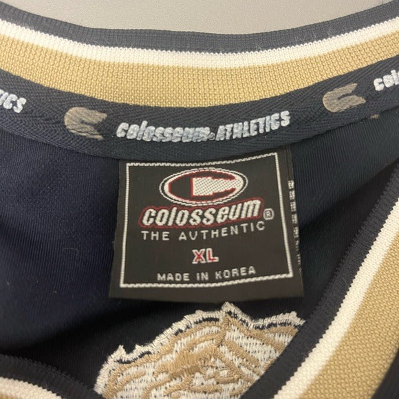 Vintage Colosseum Pitt Panthers NCAA Jersey #30 (2000s Era) - Size XL